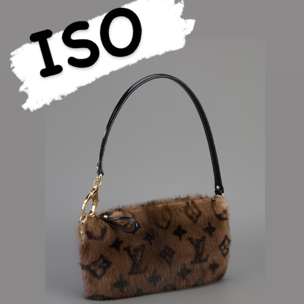 I’m looking for this beautiful mini bag